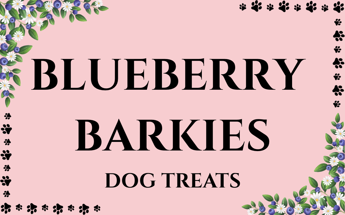 Blueberry Barkies